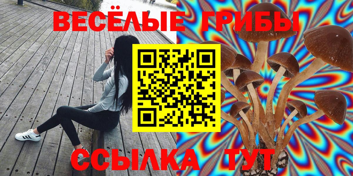 где продают наркотики  Псилоцибиновые грибы MAGIC MUSHROOMS  Вход с VPN  Людиново 